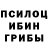 Псилоцибиновые грибы мицелий Laura Makisheva