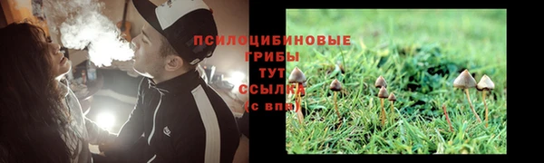 мескалин Абаза