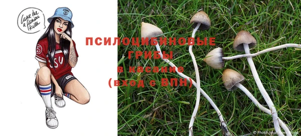 мескалин Абаза